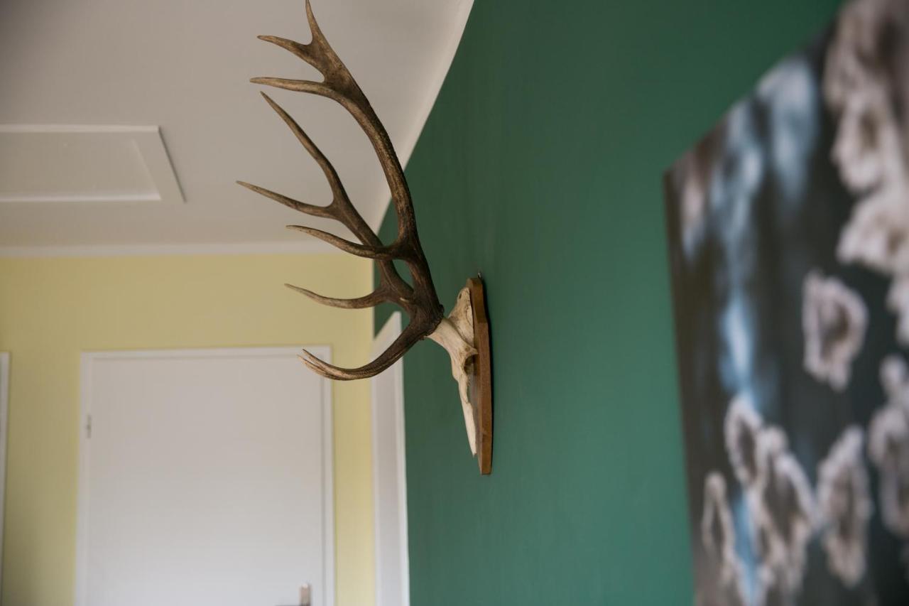Mcdreyer Ferienwohnung Dedelstorf Экстерьер фото
